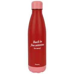 Botella termo