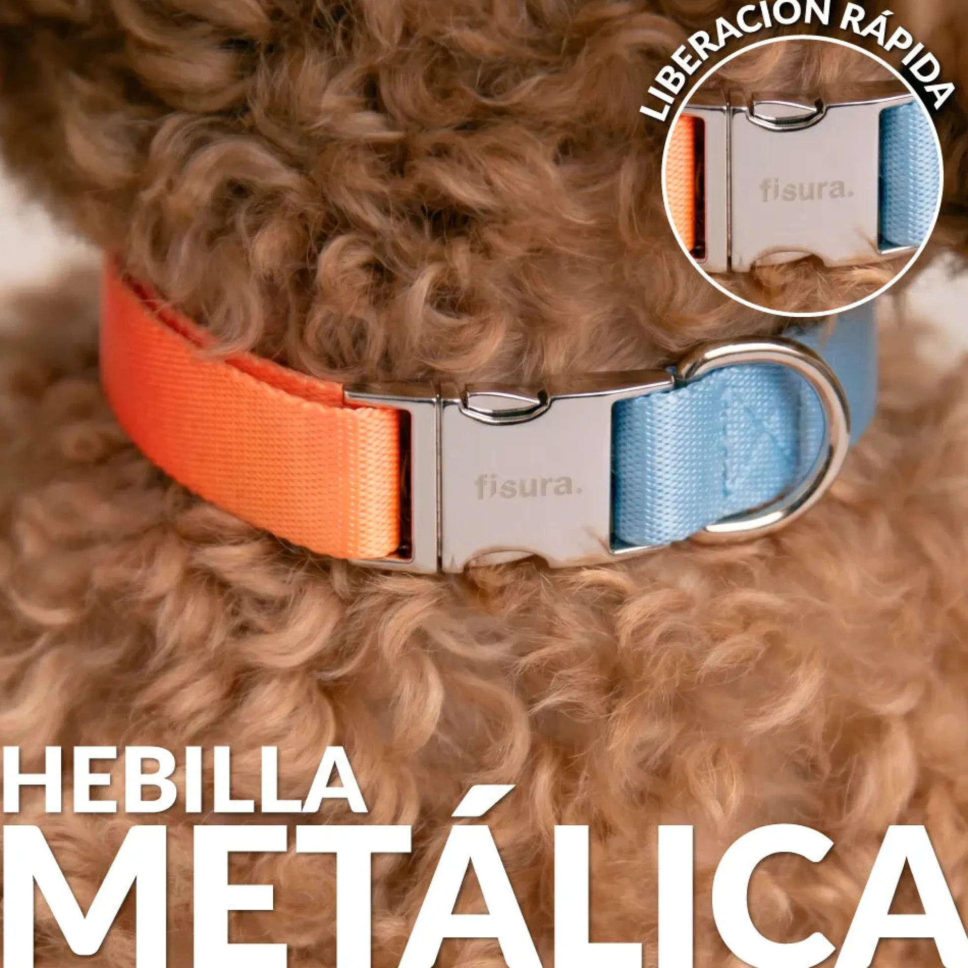 Collar “Degradado” S-M