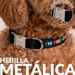 Collar “I’m the boss” S-M