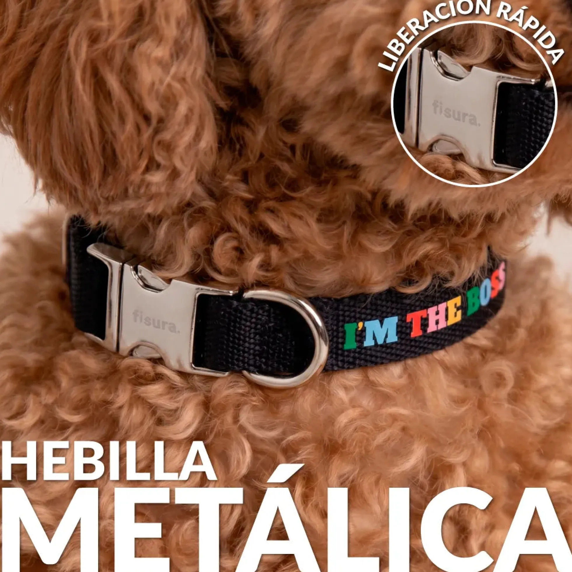 Collar “I’m the boss” S-M