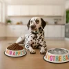 Comedero y bebedero “Bon appétit, à votre santé”