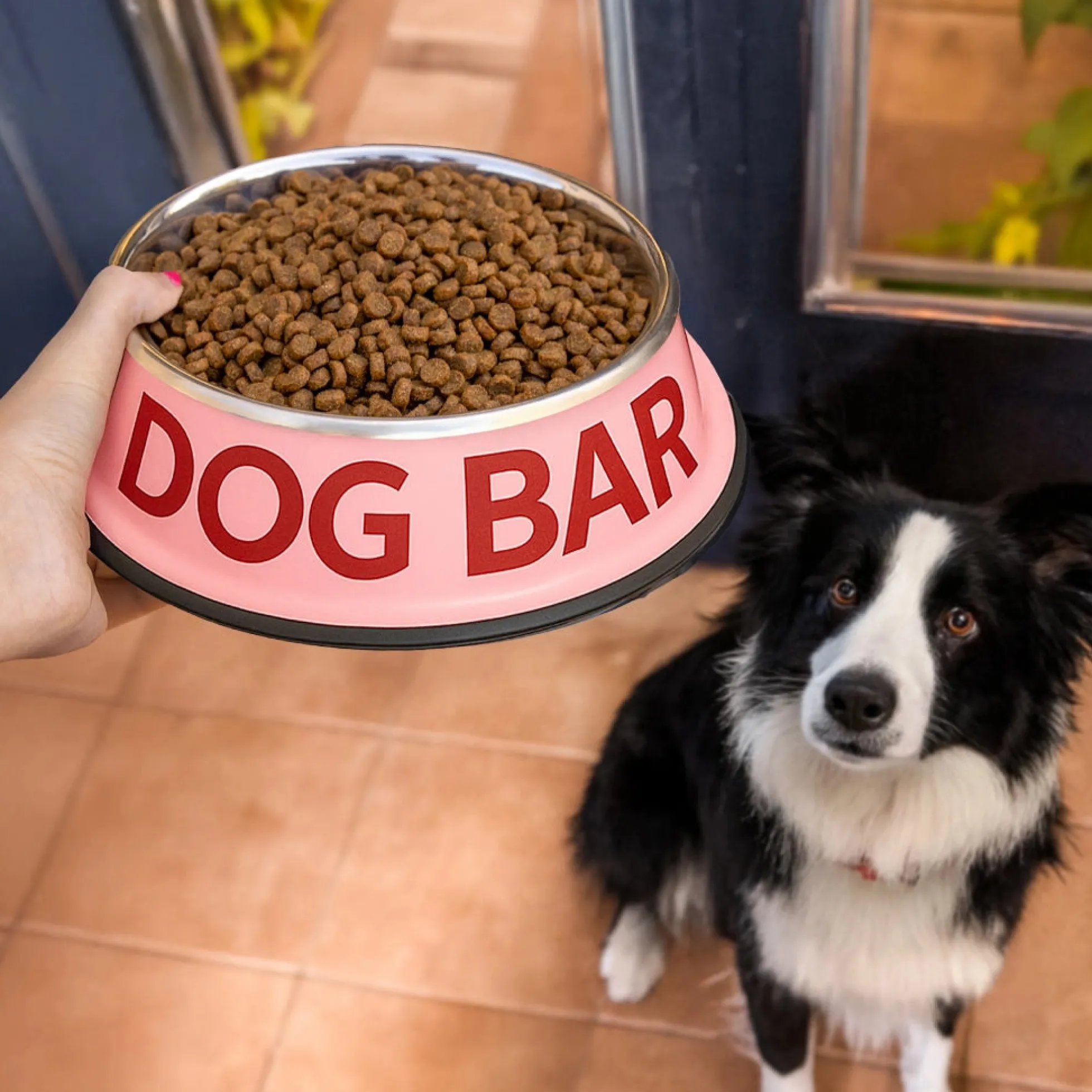 Comedero y bebedero “Dog bar”
