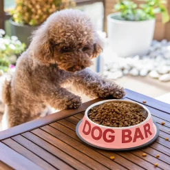 Comedero y bebedero “Dog bar”