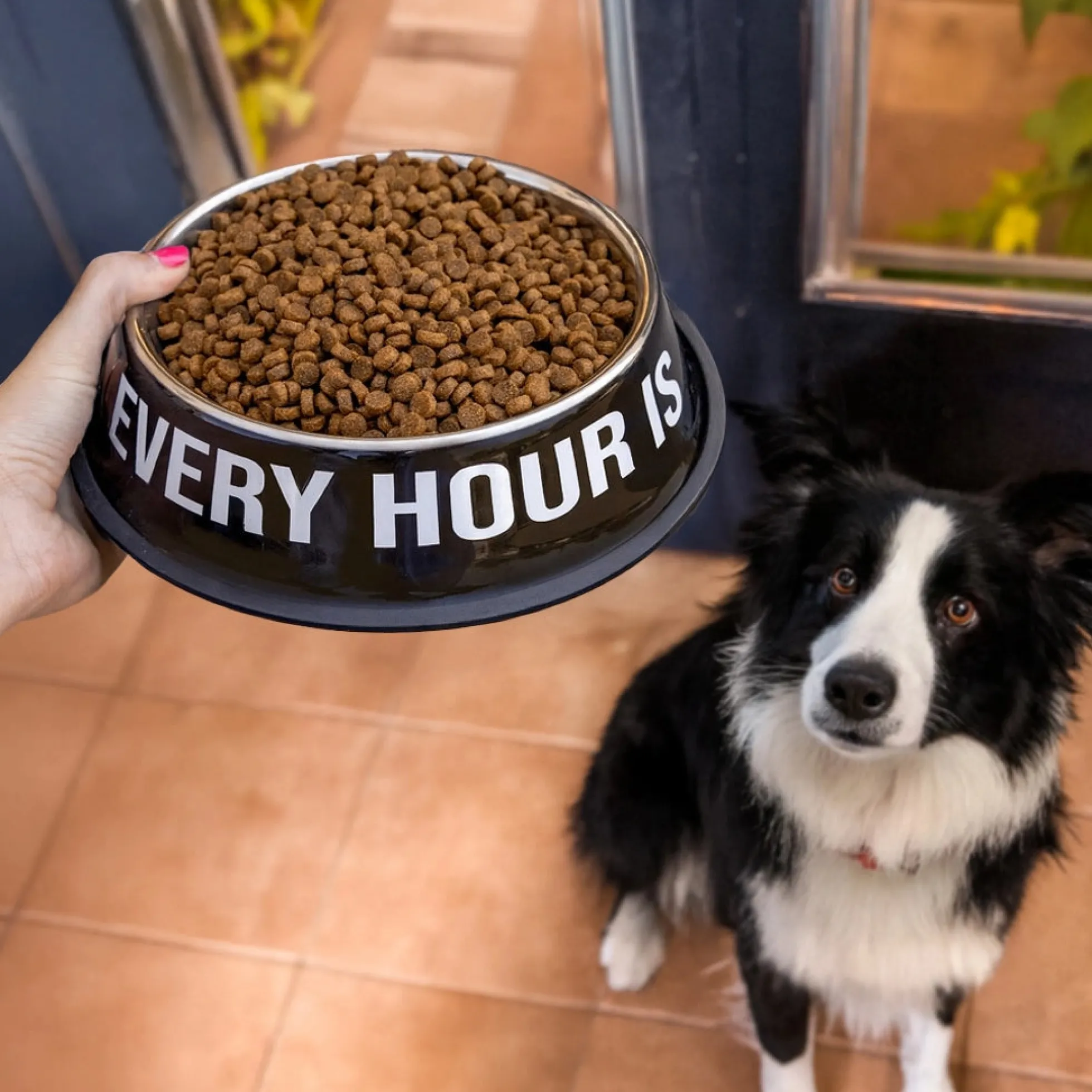 Comedero y bebedero “Happy hour”
