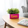 Macetero libro "The flower" rosa