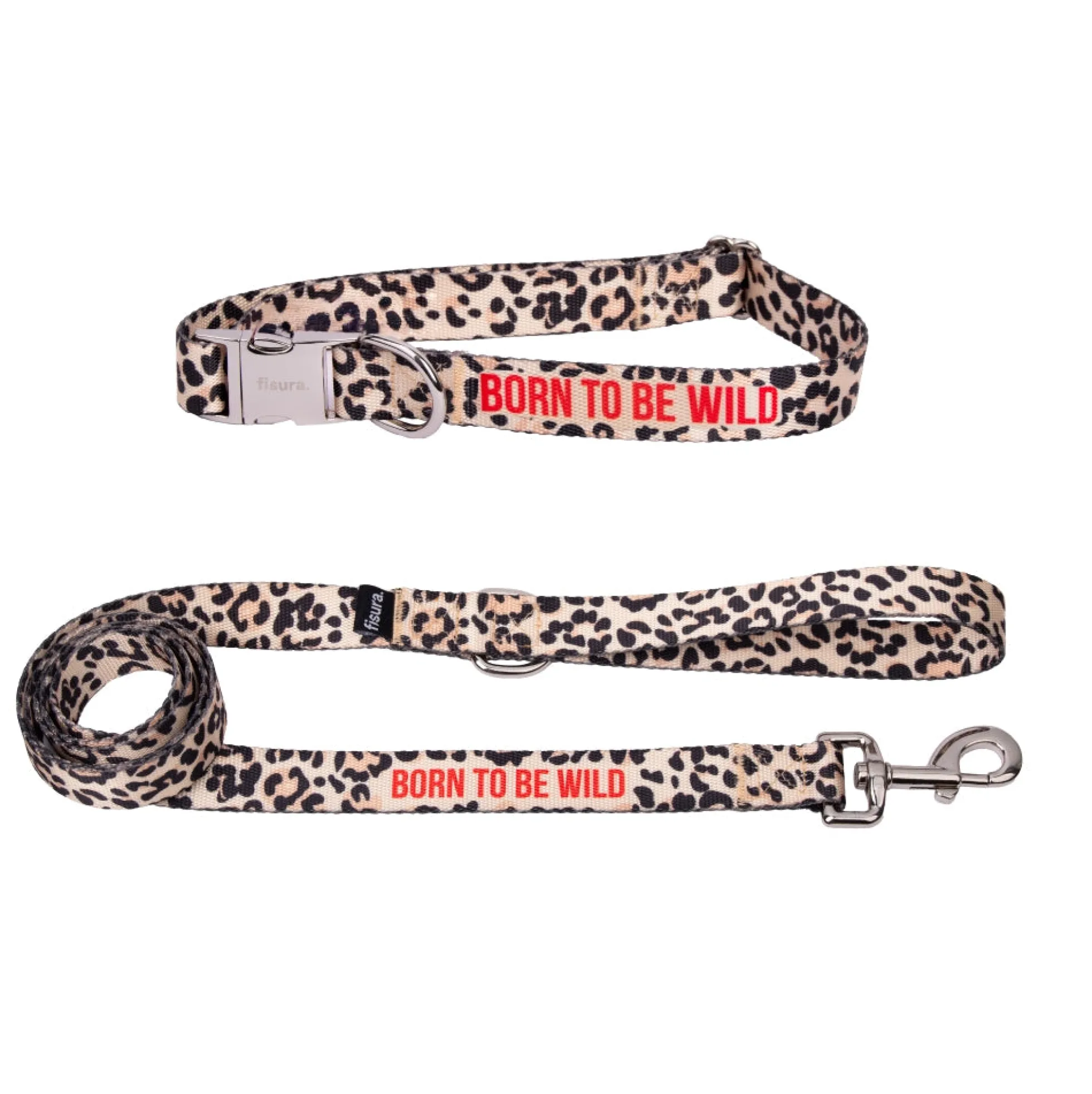 Pack de collar y correa "Born to be wild" S