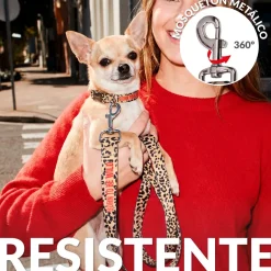 Pack de collar y correa "Born to be wild" S
