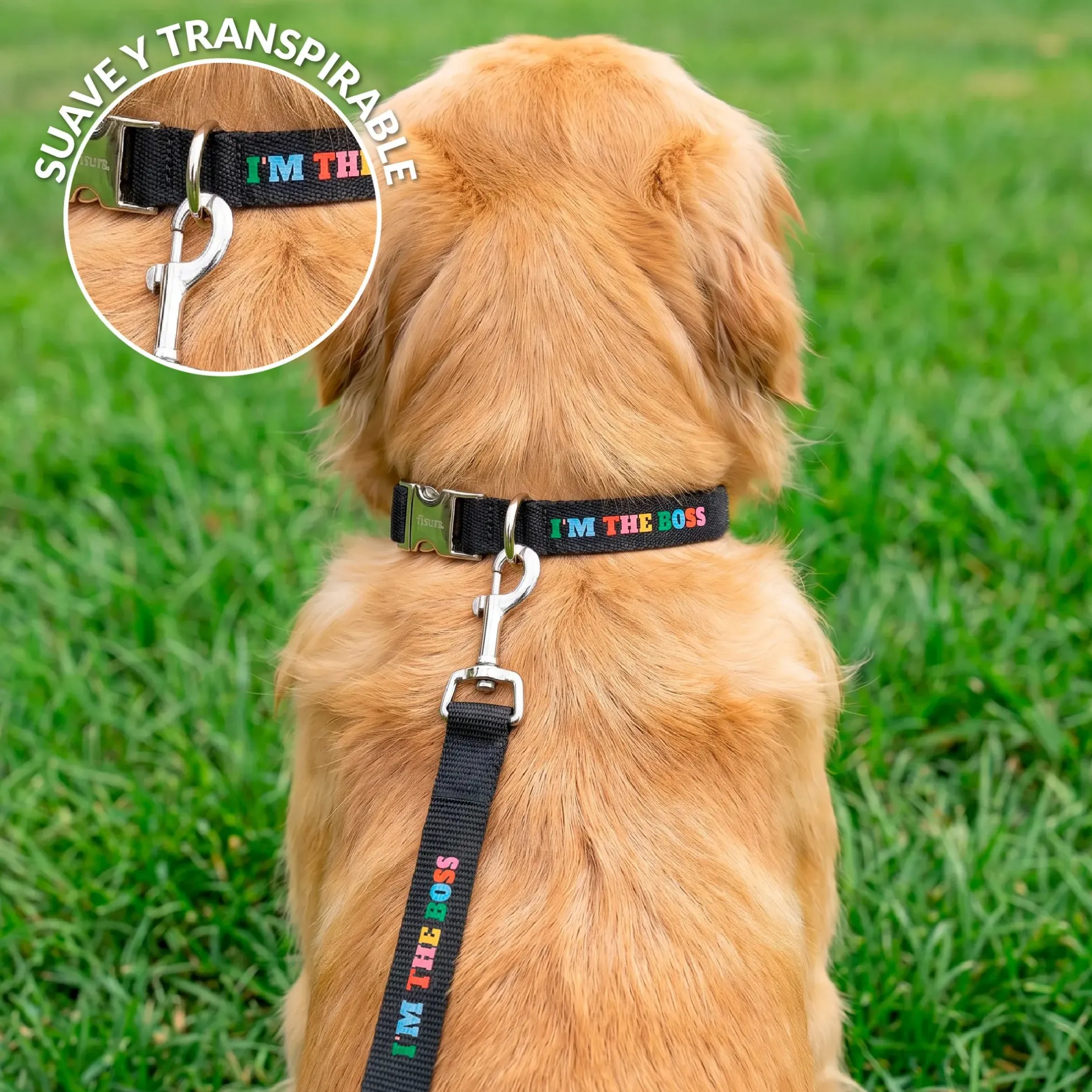 Pack de collar y correa "I’m the boss" L