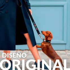 Pack de collar y correa