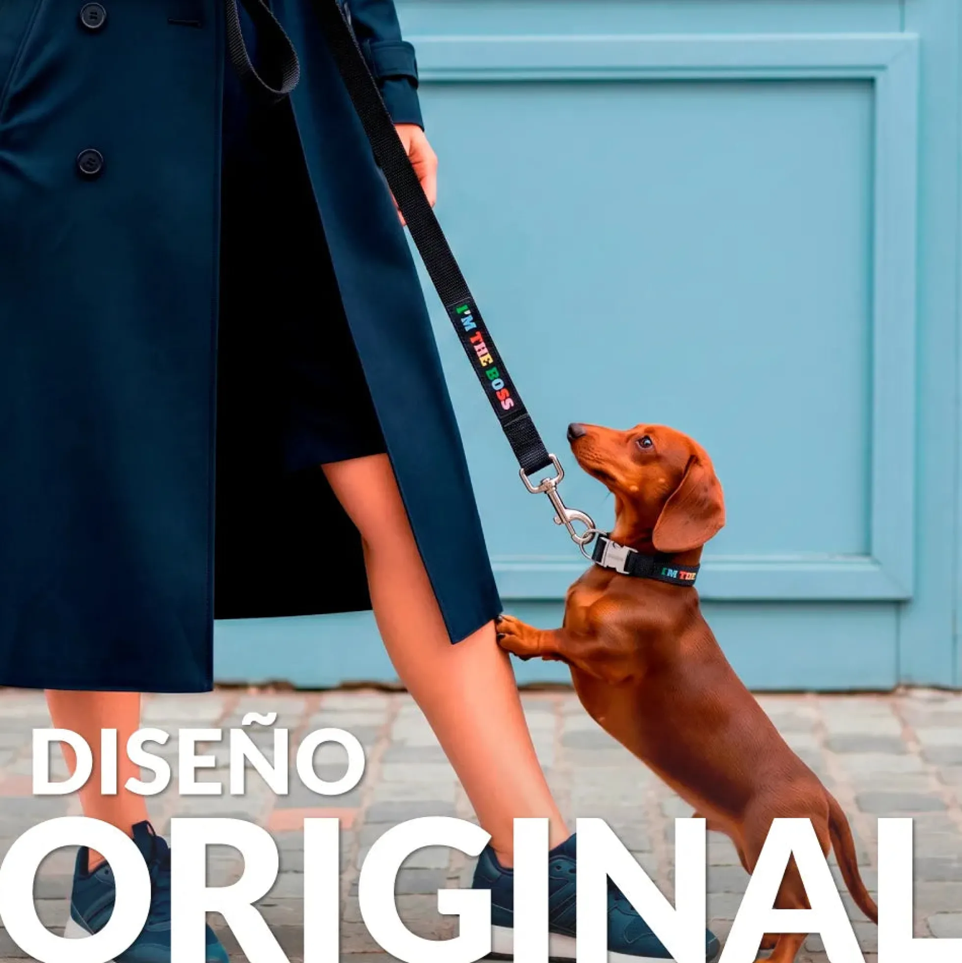 Pack de collar y correa "I’m the boss" S