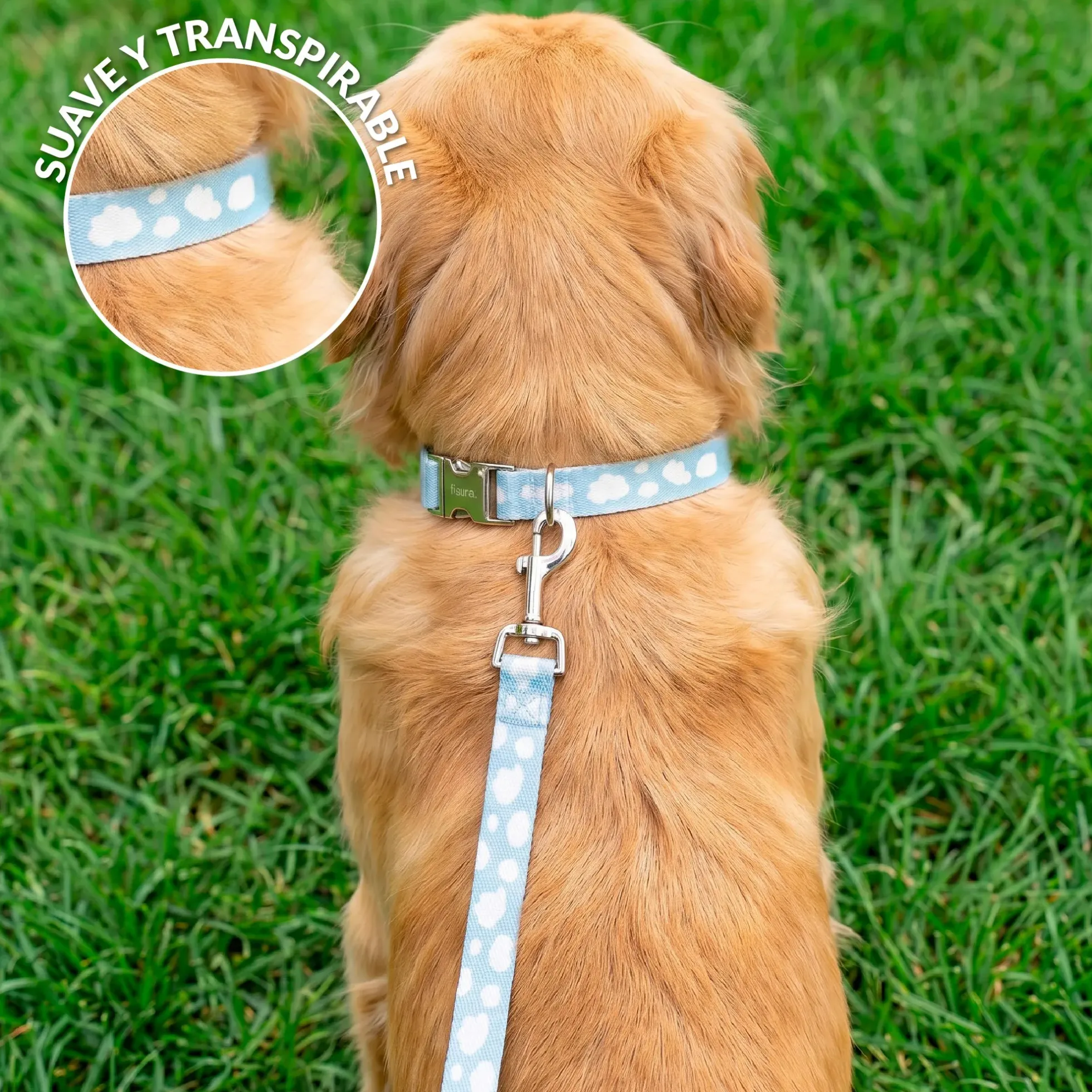 Pack de collar y correa "Nubes” L