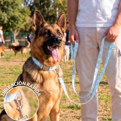 Pack de collar y correa