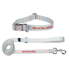 Pack de collar y correa