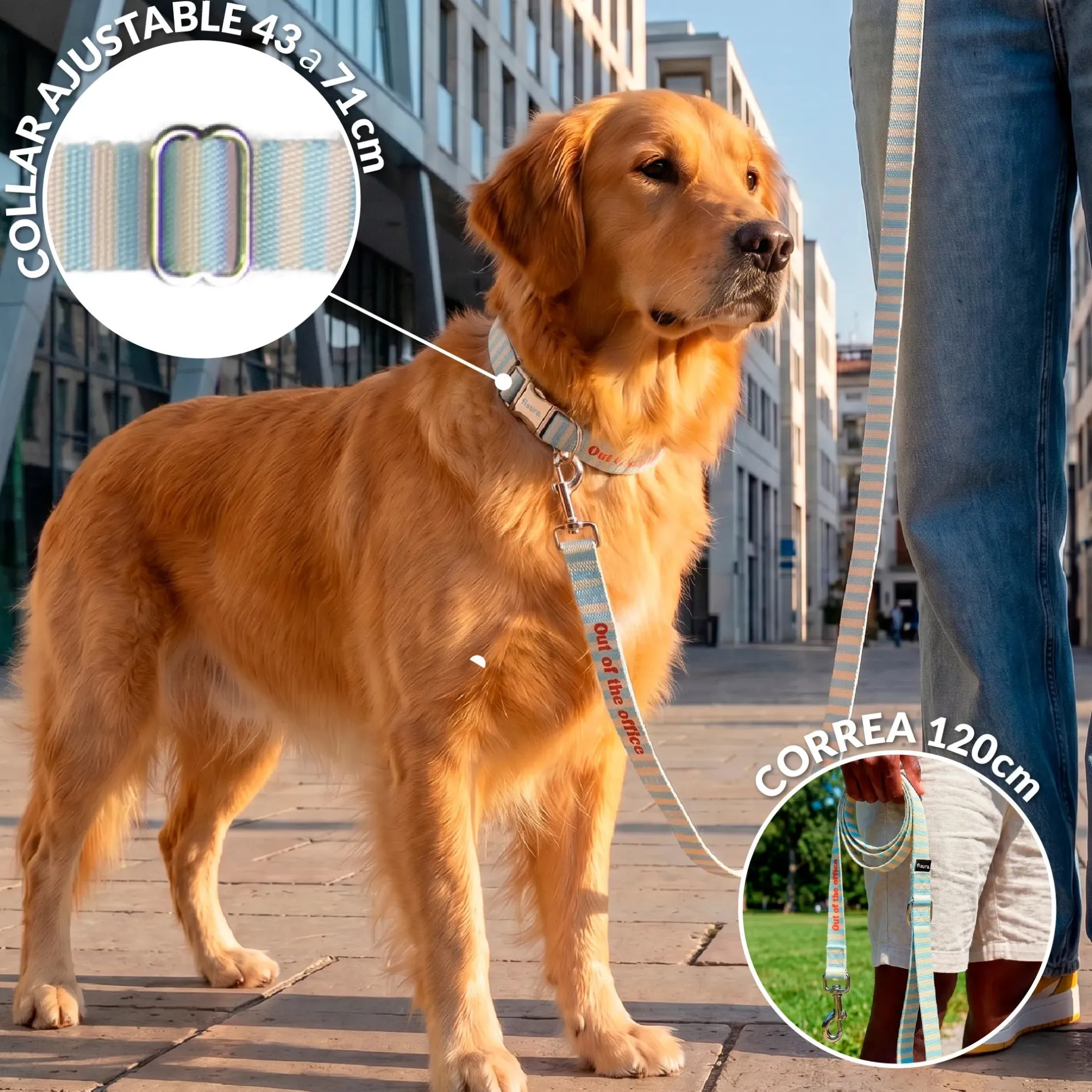 Pack de collar y correa "Out of the office" L