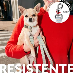 Pack de collar y correa 